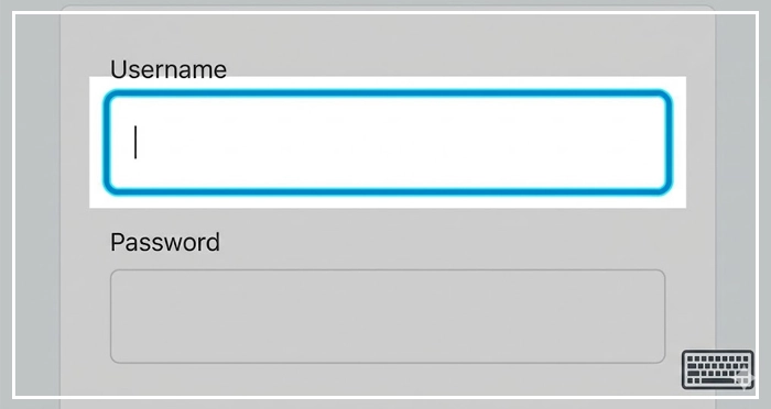 clear visual focus indicator on an input field, demonstrating keyboard navigation An accessible form design showing a clear visual focus indicator on an input field, demonstrating keyboard navigation support for web forms
